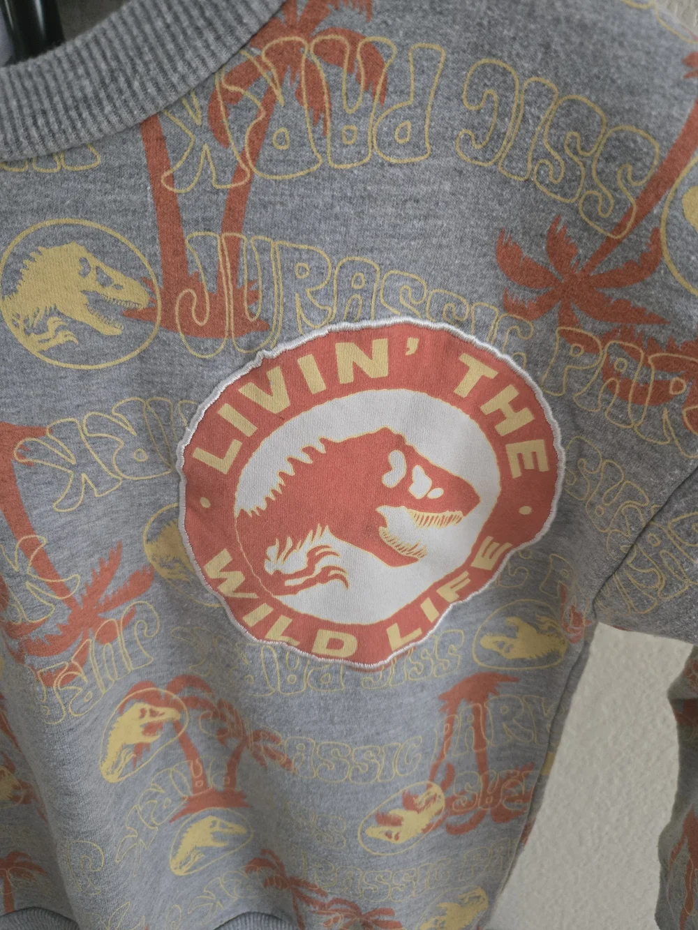 Jurassic Park gray & orange long sleeve Sweatshirt Size 6